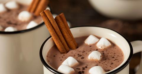 A cup of hot chocolate is pictured with vegan marshmallows and cinnamon sticks.