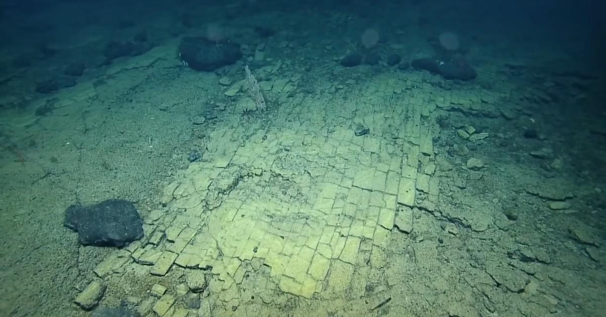 The seabed appears to be covered in yellow bricks
