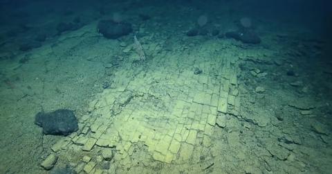 The seabed appears to be covered in yellow bricks