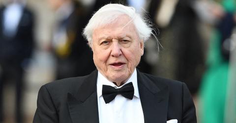 David Attenborough poses in a tux