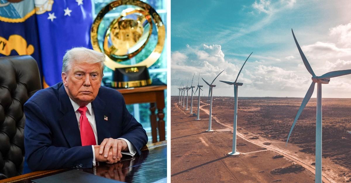 Donald Trump sits at his desk, a row of wind turbines stand in the open 