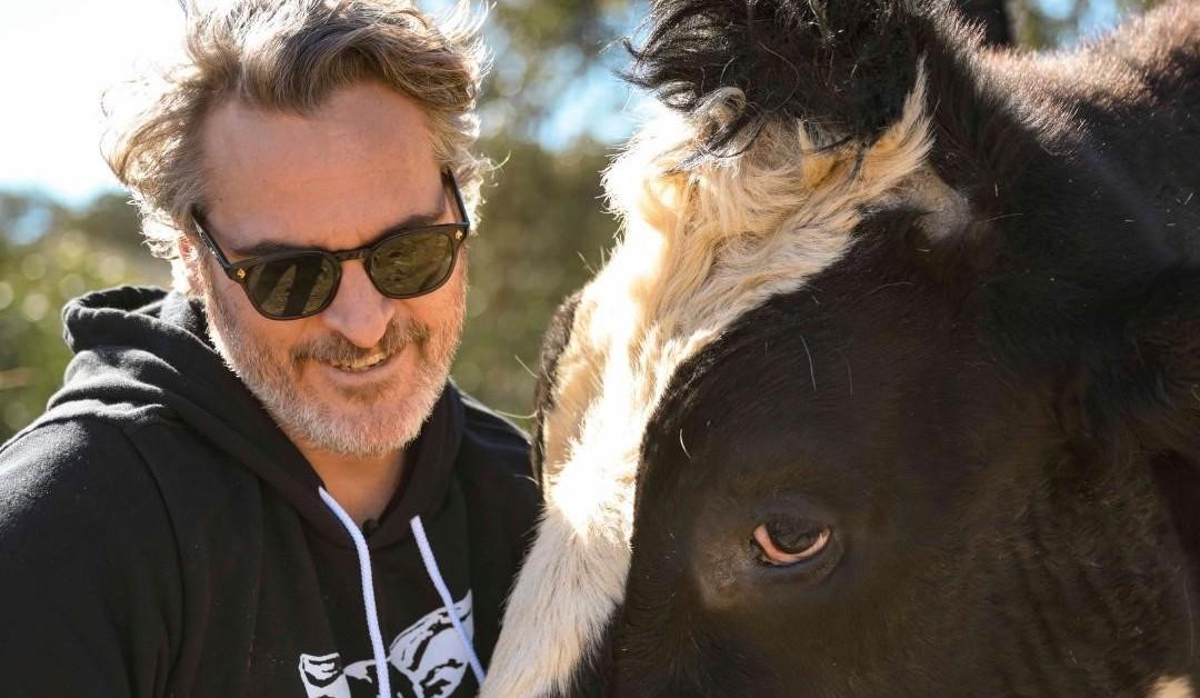 Celebrities Sign TurkeyFree Thanksgiving Pledge for Animal Justice