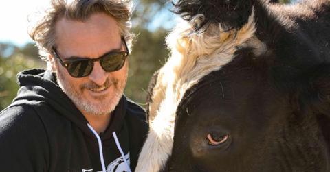 joaquin phoenix turkey free thanksgiving