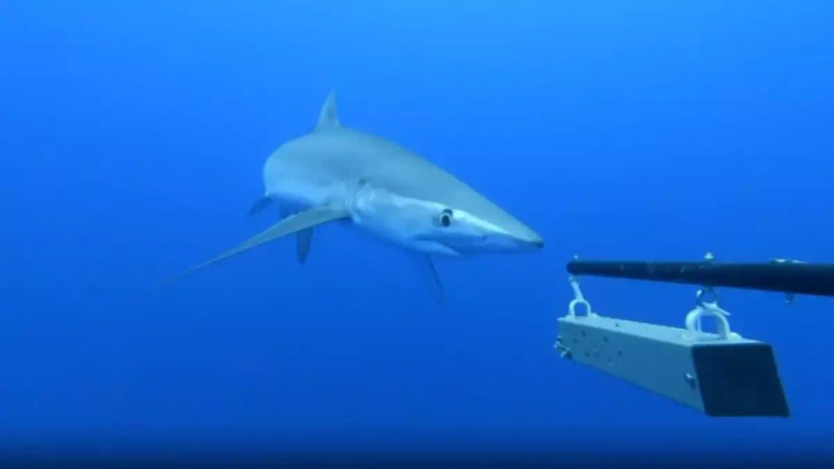 pn/e dbd f d cfadcdf