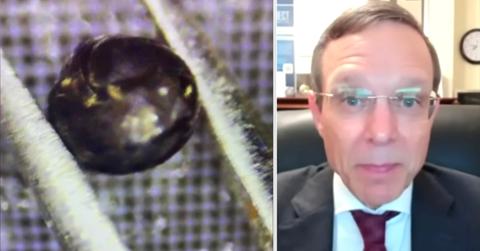 Screenshots from news report of Avi Loeb and reported alien object