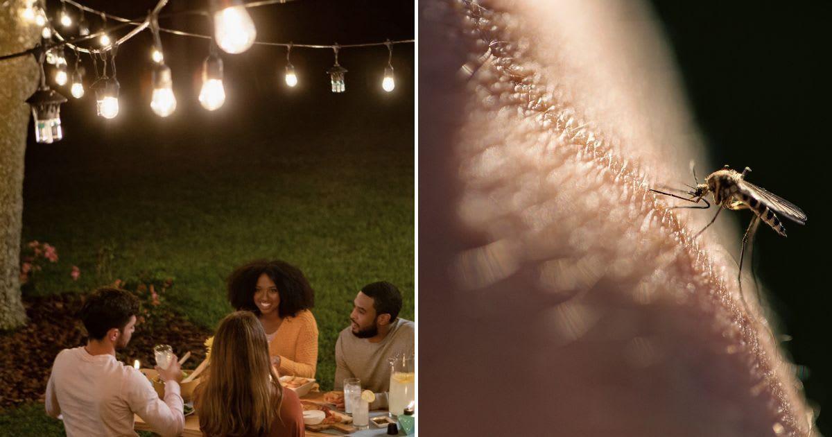 (L) A family enjoying dinner in their yard. (Cover Image Source: Wayfair) | (R) A mosquito biting a human. (Representative Cover Image Source: Getty Images | mrs)