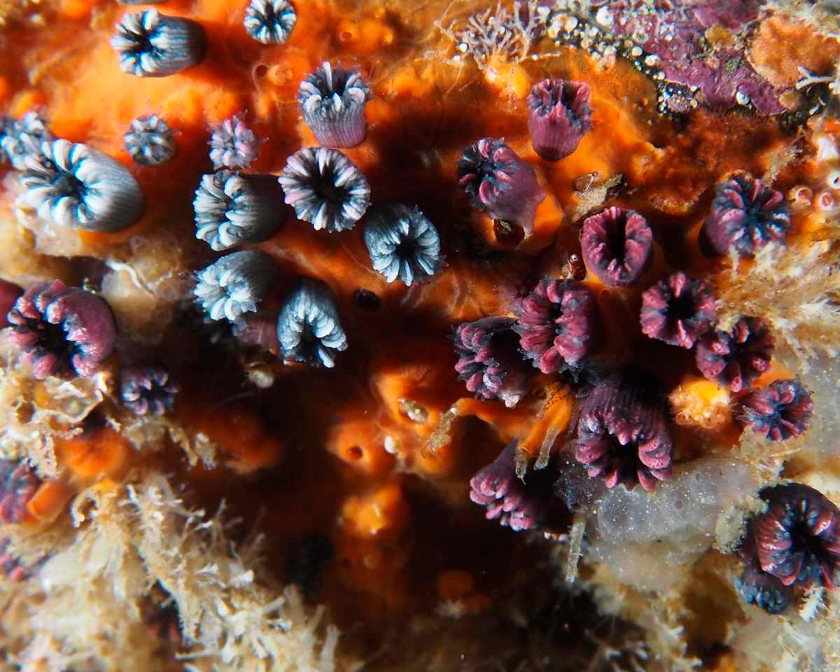 pn/ddfd fb a bab cafefaea