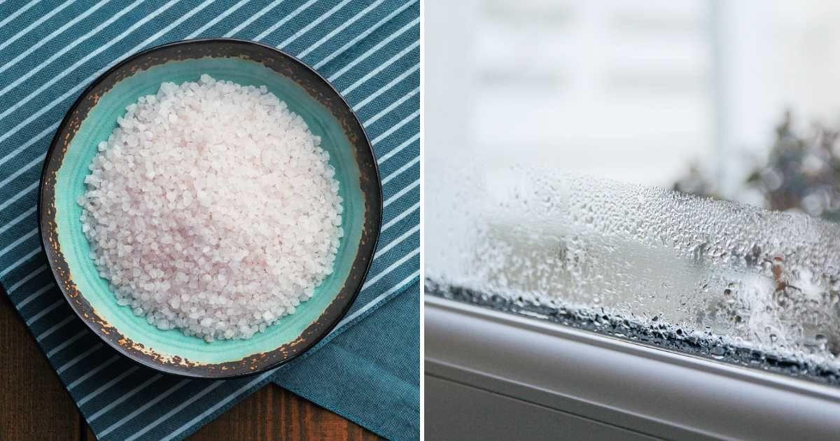 (L) Bowl Filled With Salt, (R) Condensation on the window. (Representative Cover Image Source: Getty Images | (L) MirageC, (R) Kinga Krzeminska)