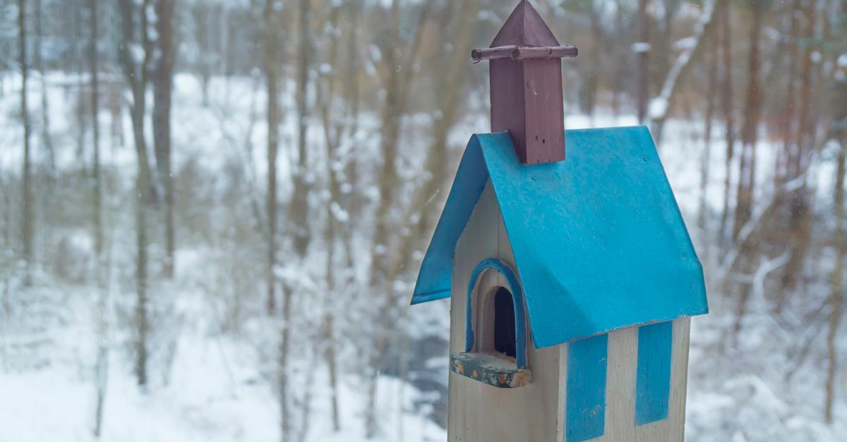 Blue bird house outside in winter. 