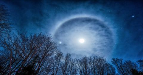 Photo of trees and the night sky featuring a ring around the moon on a winter's night