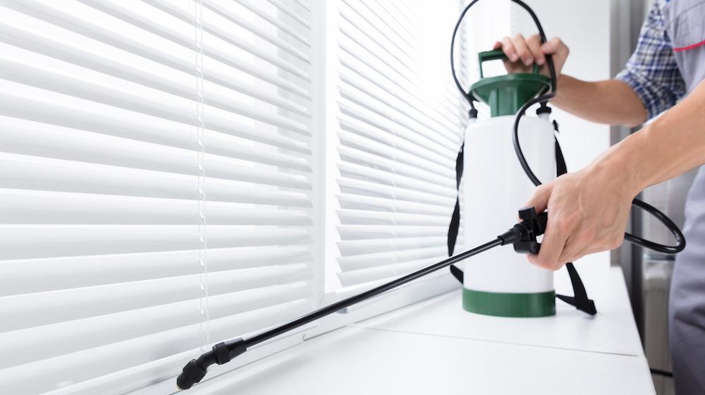 A pest control worker exterminating a roach infestation on a window sil. 