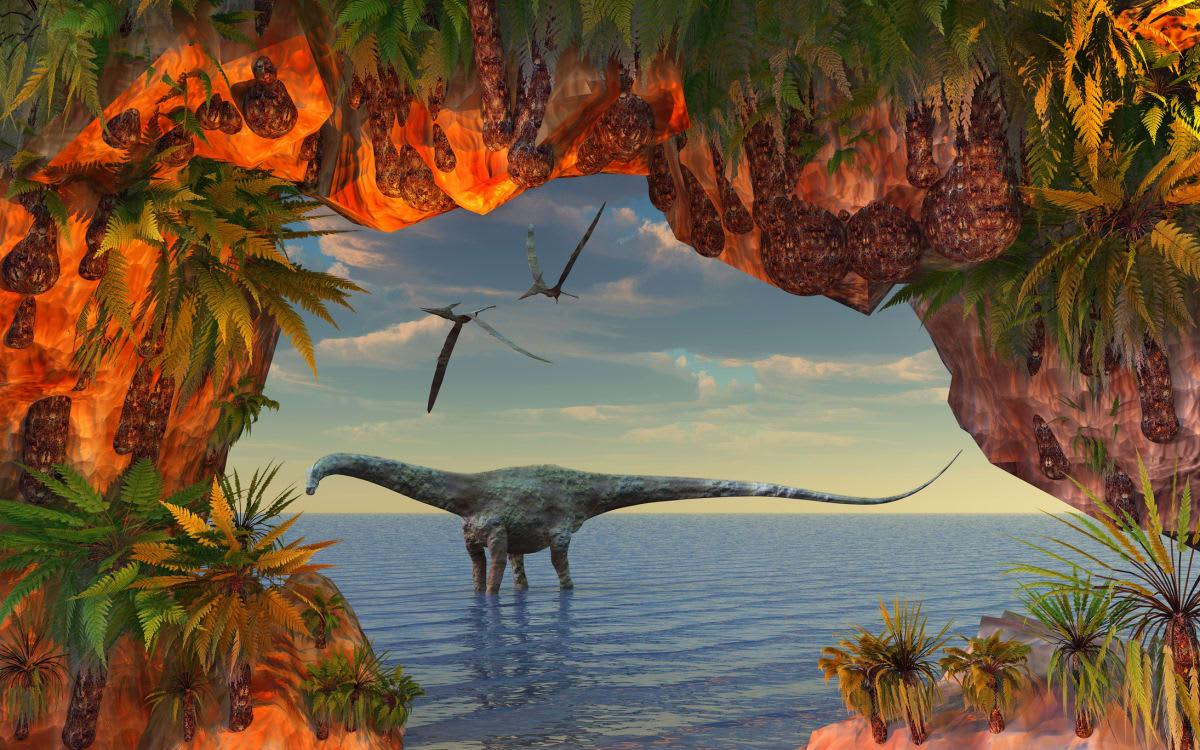 pn/fdbe a d e efccae