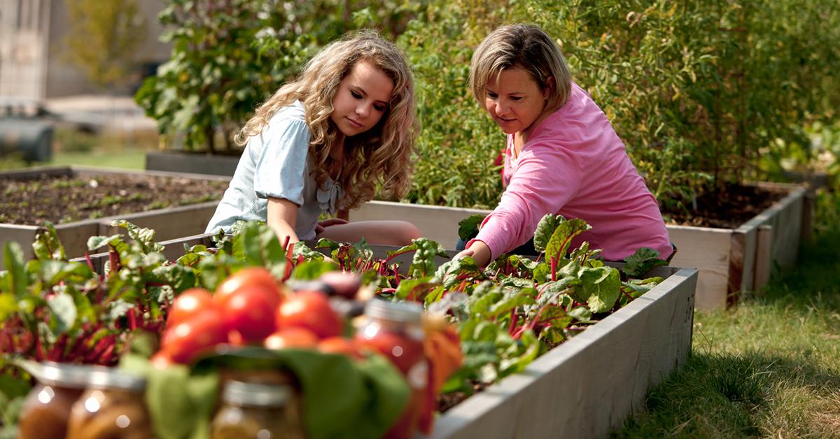 vegetable garden shade