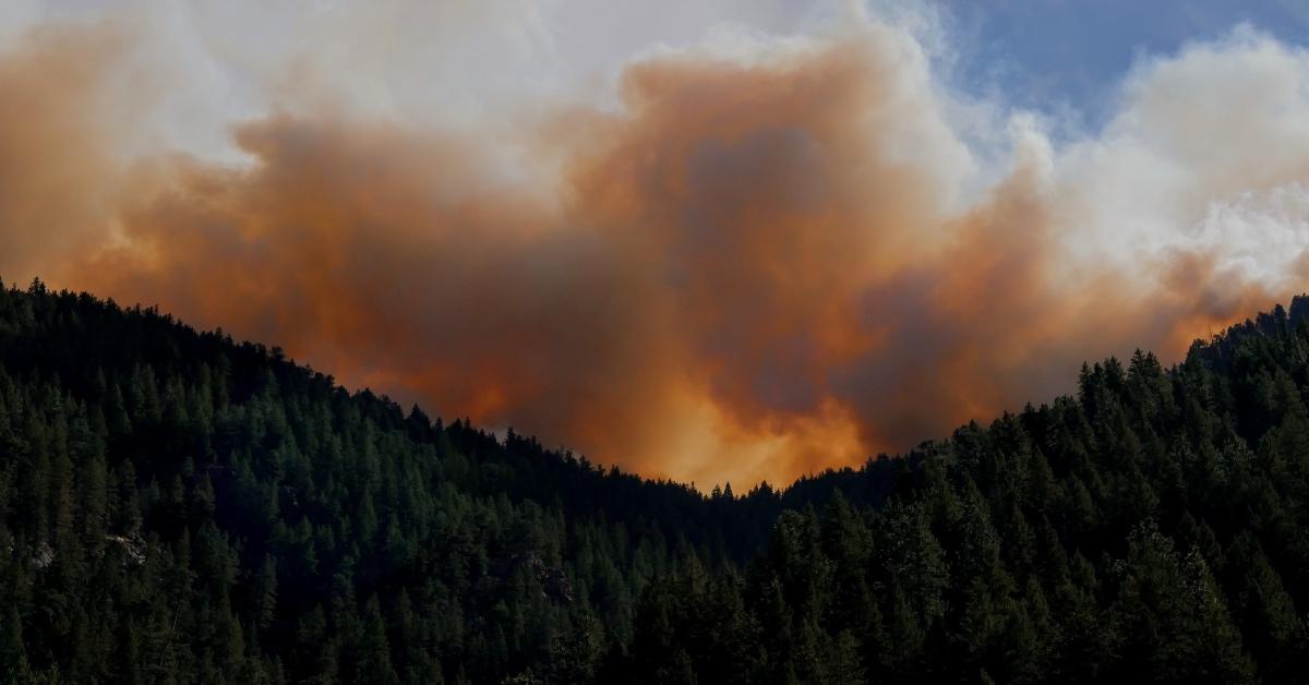 Orange wildfire smoke above a green forest.