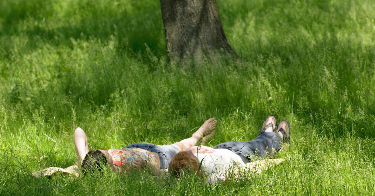 Two people lying in tall grass.