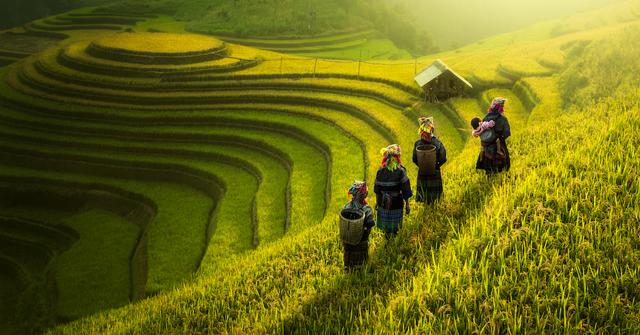 What Is Soil Conservation What Is Soil Conservation