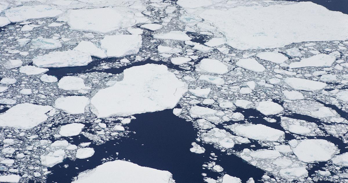 Will Global Warming Cause Extinction? Here's What Scientists Say