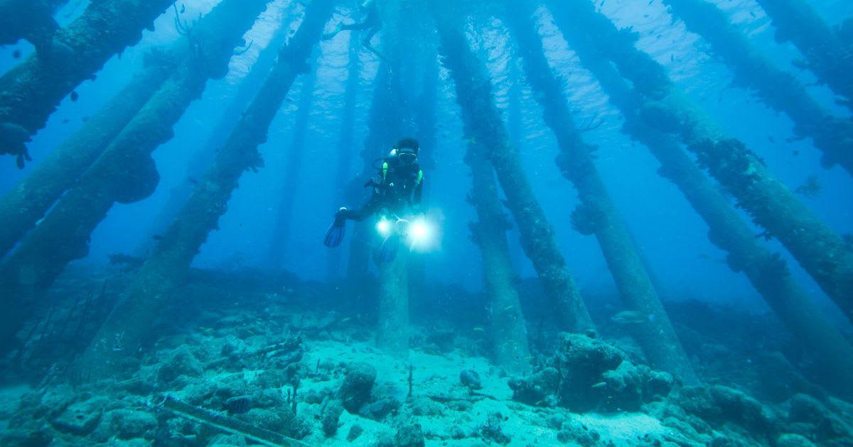 Diver underwater exploring the sea floor(Representative Cover Image Source: Pexels | Pascal Ingerest
