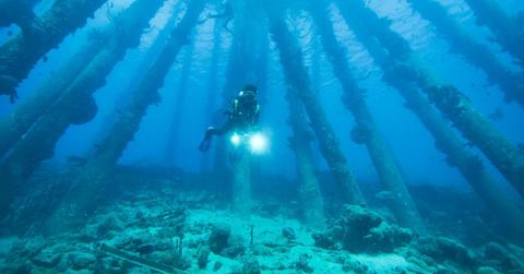 Diver underwater exploring the sea floor(Representative Cover Image Source: Pexels | Pascal Ingerest