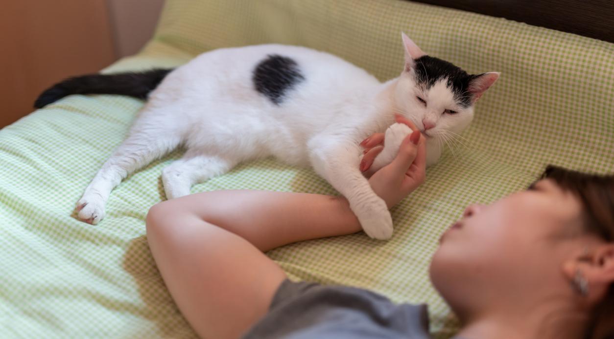 A black and white cat laying on a bed with a girl. 