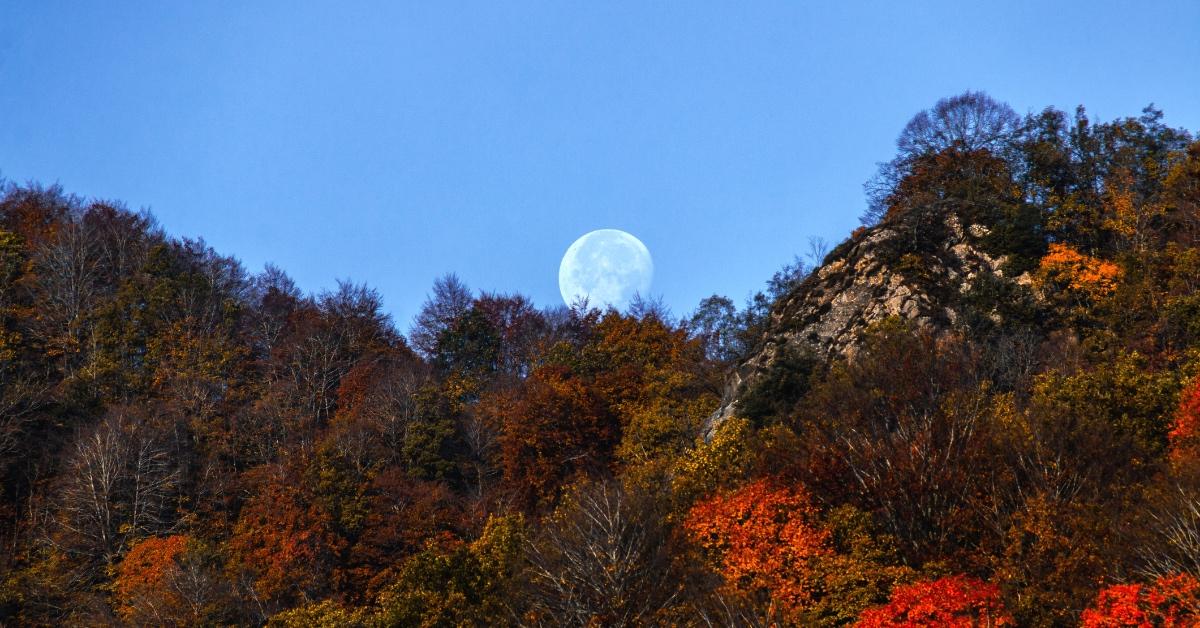 Full moon in the sky behind a mountainside with orange and brown leaves.