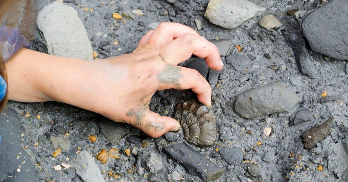 A young child finds a fossilized ammonite in the mud. (Representative Cover Image Source: Getty Images | Mypurgatoryyears)