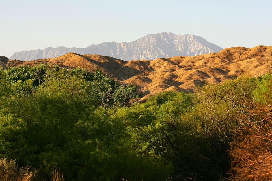 Mountains in Nevada