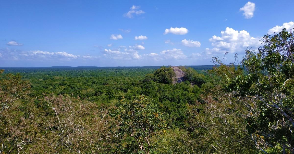 A Maya pyramid peeks out of the treetops in Campeche, Mexico where the recent discovery was made