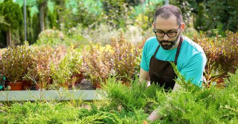 A gardener is working on removing the weeds in his garden. (Representative Cover Image Source: Freepik | PCH Vector)
