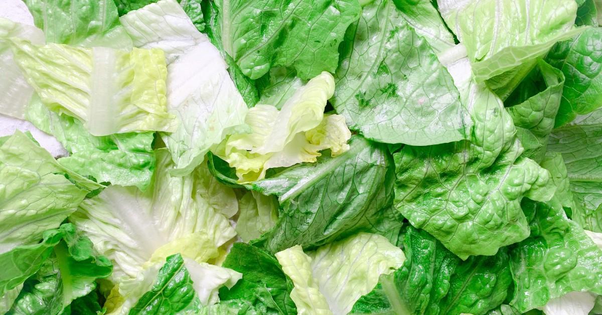 A mixed bag of leafy green and yellow romaine lettuce