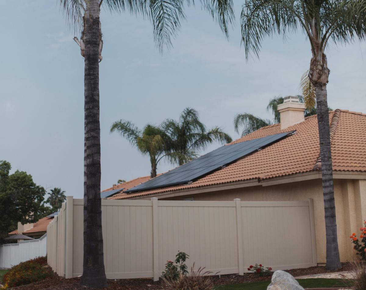 Palm trees next to a home with solar panels