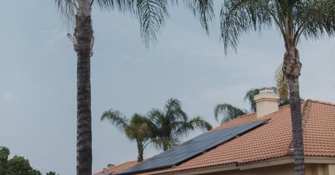 Palm trees next to a home with solar panels