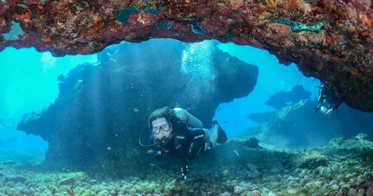 A woman exploring the deep sea. (Representative Image Source: Pexels | Fabricio Monteiro)