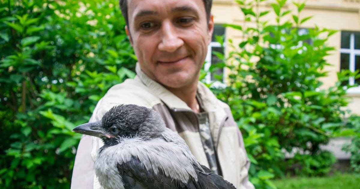 A smiling man embraces a crow in his garden. (Representative Cover Image Source: Getty Images | Jana Janina)