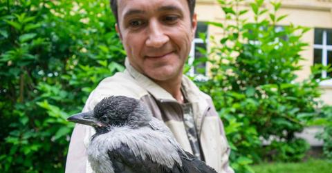 A smiling man embraces a crow in his garden. (Representative Cover Image Source: Getty Images | Jana Janina)