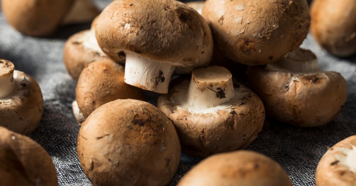 are mushrooms good for you