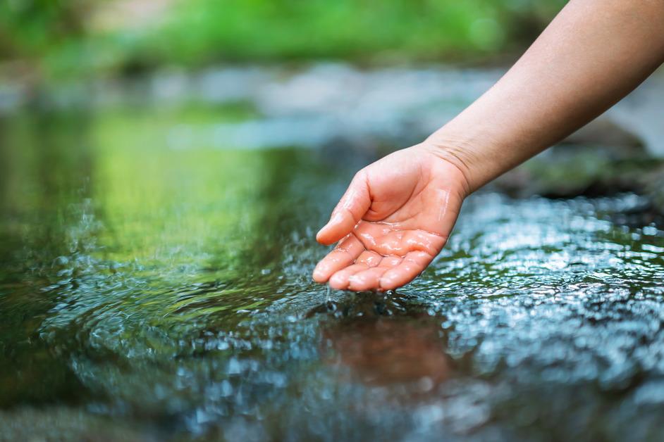 A child's hand touches the surface of a river. 