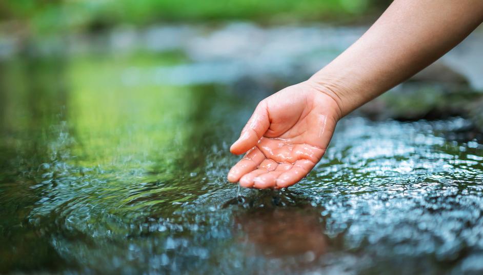 Parasite Cleanse For Kids Natural Methods To Try Expert Advice Parasite Cleanse For Kids Natural Methods To Try Expert Advice