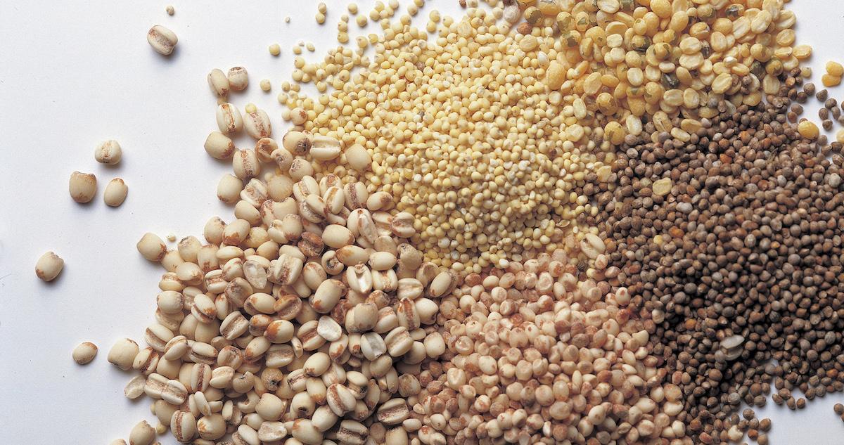 Oats, lentils, and other grains