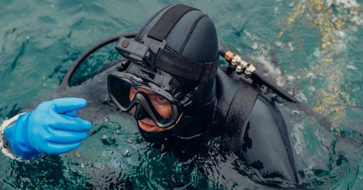 Scuba diver in diving gear swimming in the sea. (Representative Cover Image Source: Pexels | Kindel Media)