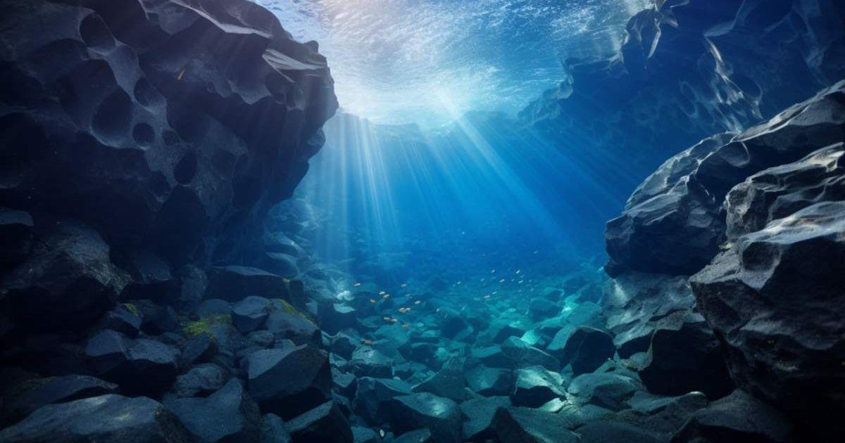 An image of the underwater life. (Representative Image Source: Pixabay | EvaMichalkova)