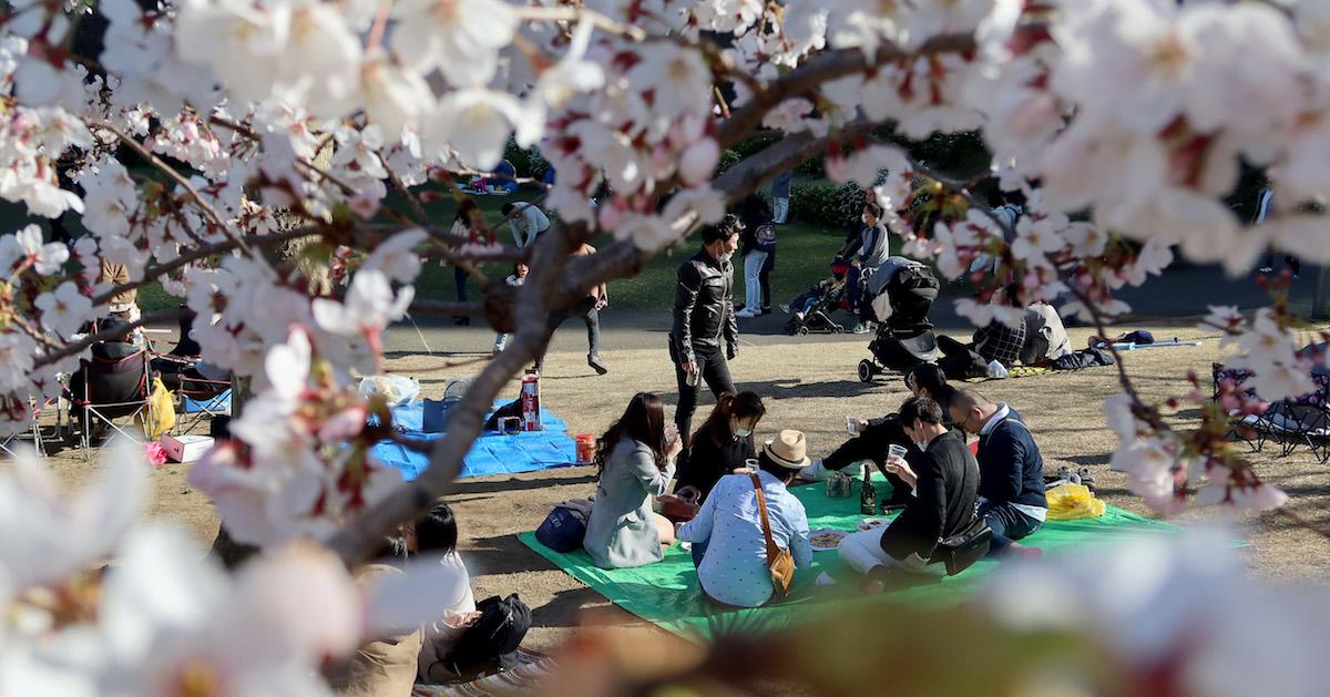 international earth day celebrations