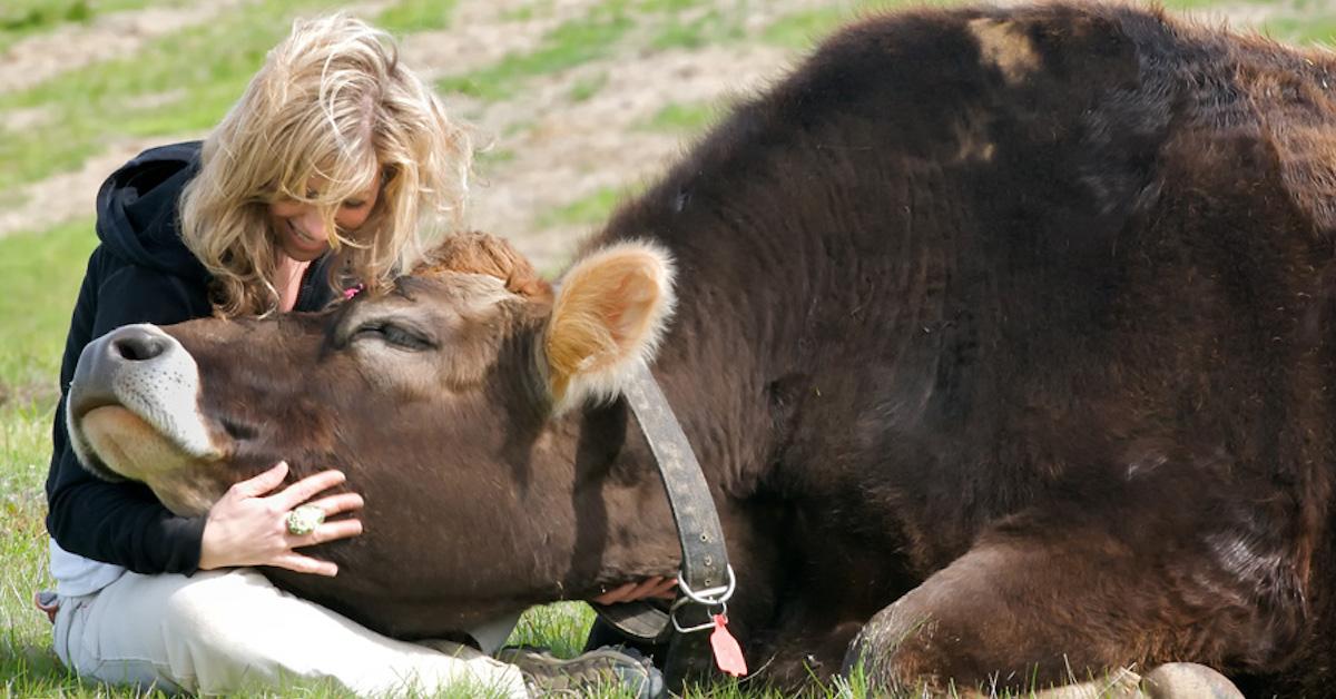 Colleen Patrick-Goudreau with a cow