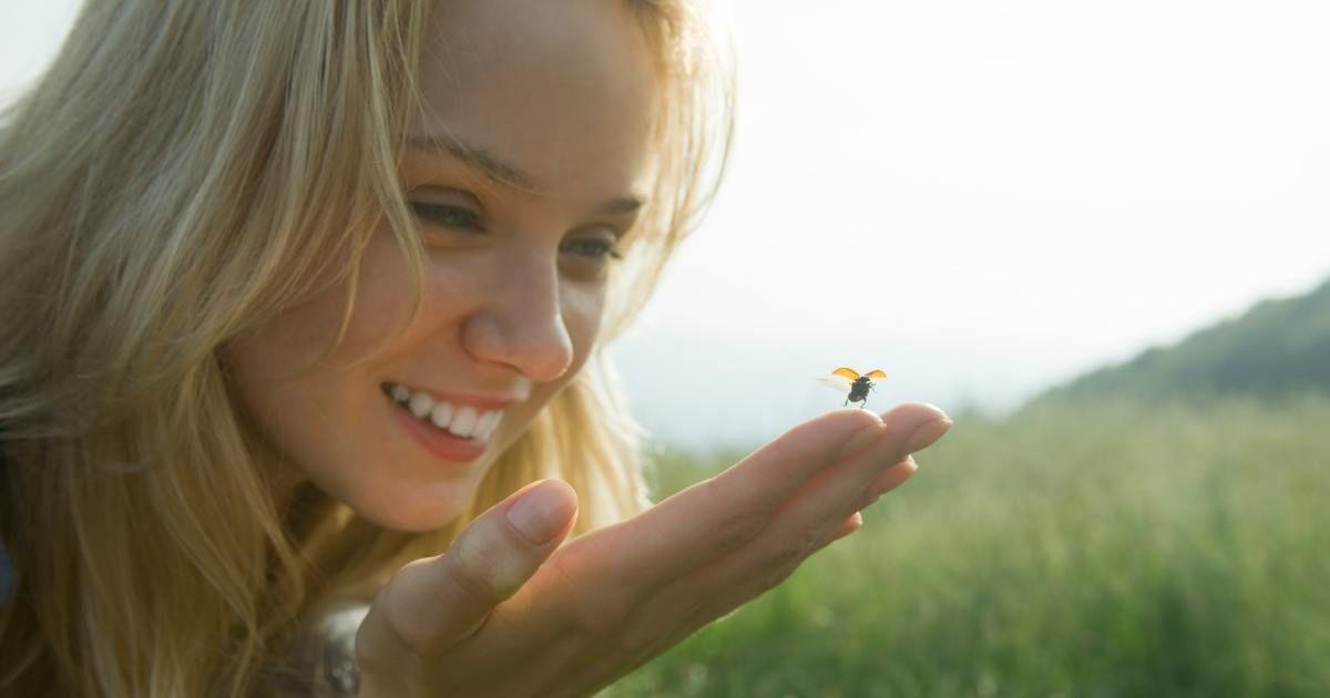 A young woman watches a ladybug land on her fingers amid a serene green landscape. (Representative Cover Image Source: Getty Images | ZenShui/Laurence Mouton)