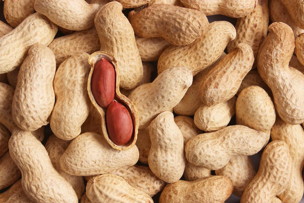 A close up of cooked peanuts.