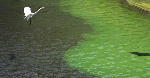 how climate change affects rivers