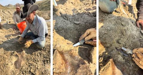 A man shows off the T-Rex tooth he found