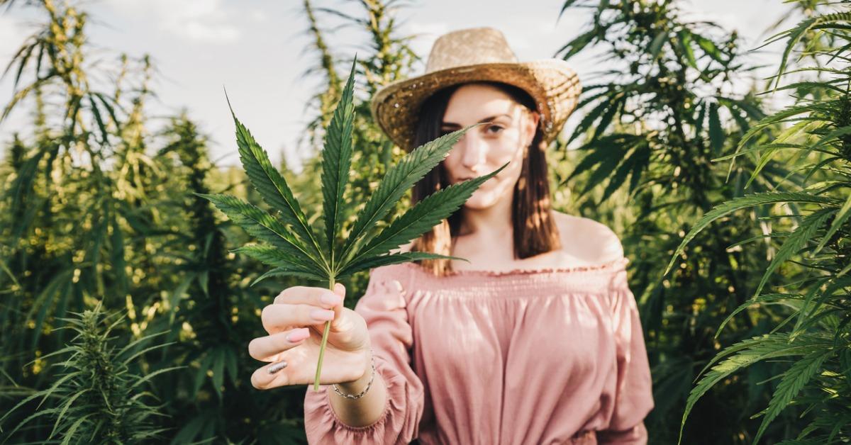 Hemp vs. Marijuana