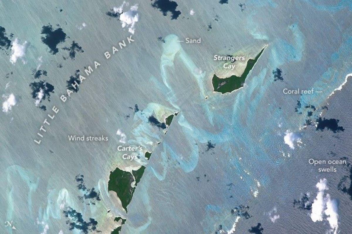 pn/bebee fd fc afe eeed