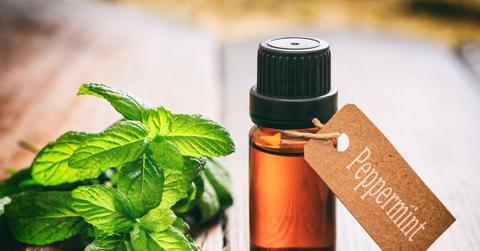 Peppermint oil is contained within an amber bottle beside mint leave.